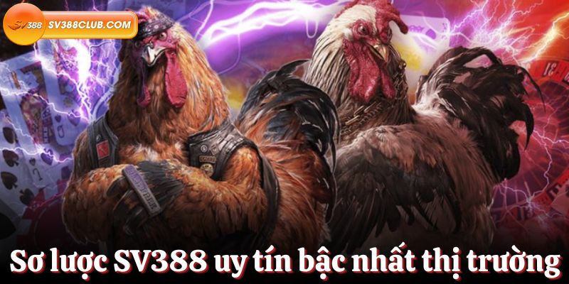Bắn cá và trải nghiệm giải trí trực tuyến - 181Bet